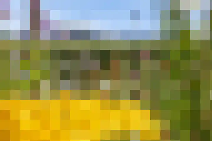 Hoofdweg 112 Burdaard thumbnail 12