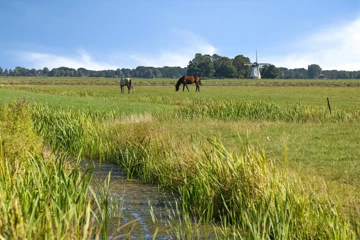 Hoofdweg 112 Burdaard thumbnail 13