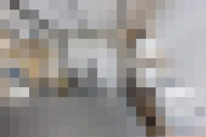 Hoofdweg 112 Burdaard thumbnail 21
