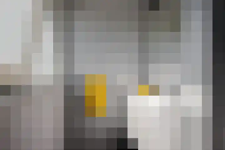 Hoofdweg 112 Burdaard thumbnail 29