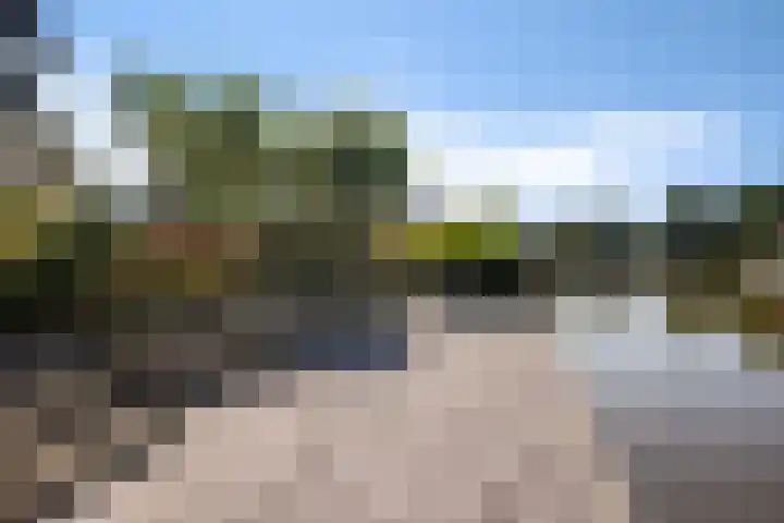 Hoofdweg 112 Burdaard thumbnail 35