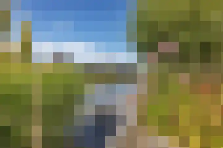 Hoofdweg 112 Burdaard thumbnail 36