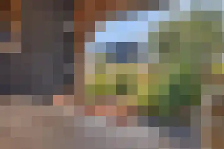 Hoofdweg 112 Burdaard thumbnail 39
