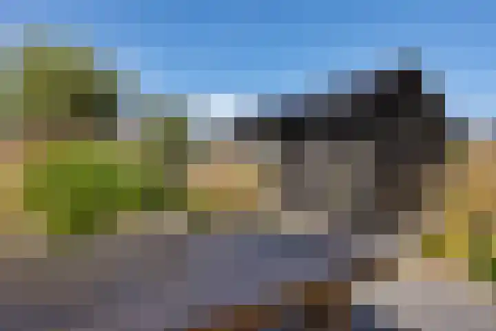 Hoofdweg 112 Burdaard thumbnail 40