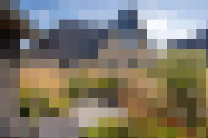 Hoofdweg 112 Burdaard thumbnail 41