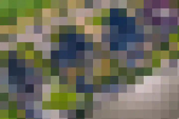 Hoofdweg 112 Burdaard thumbnail 48