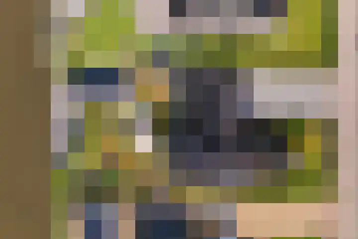 Hoofdweg 112 Burdaard thumbnail 49