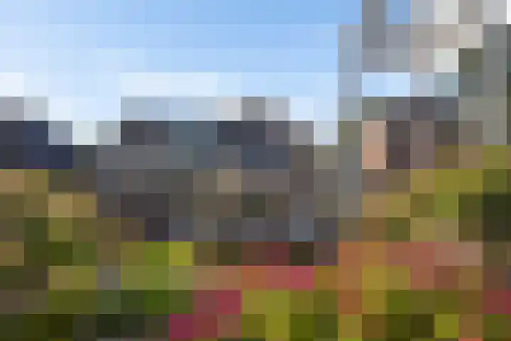 Hoofdweg 112 Burdaard thumbnail 53