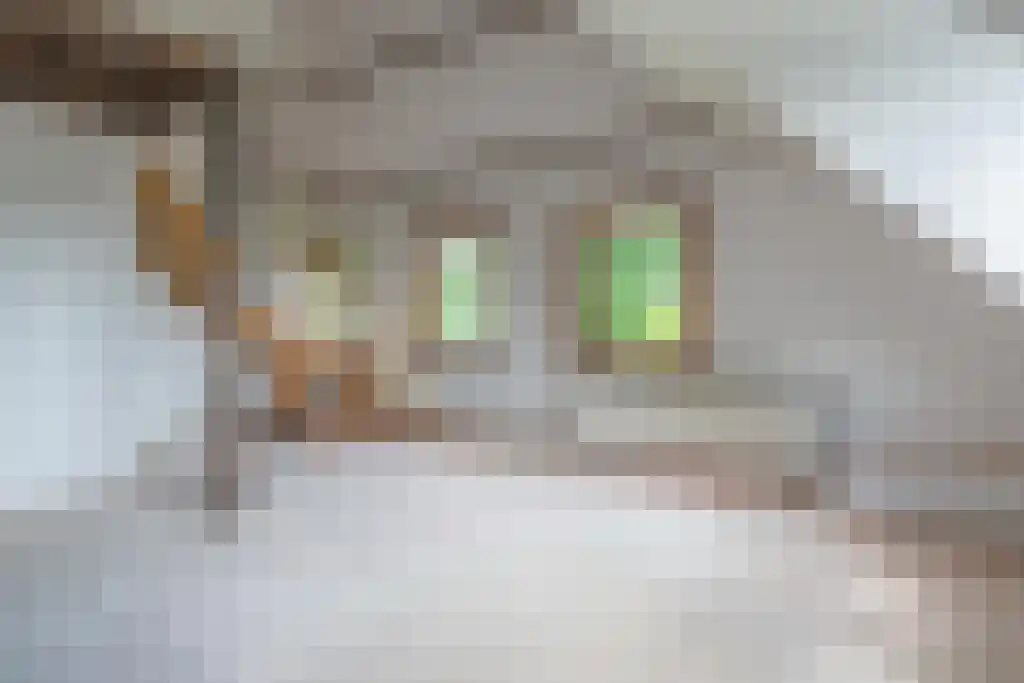 Hoofdweg 112 Oudemolen thumbnail 15