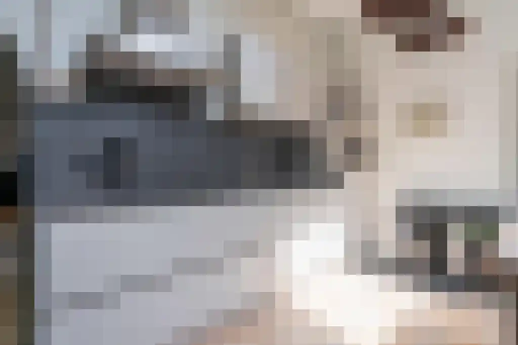 Hoofdweg 112 Oudemolen thumbnail 21