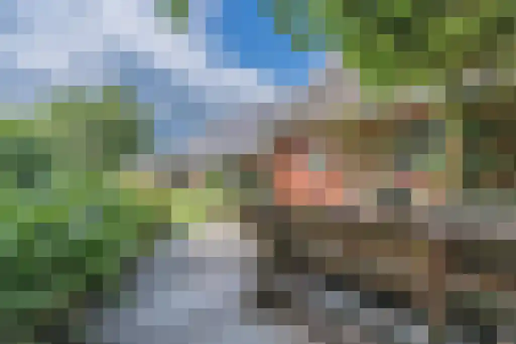Hoofdweg 112 Oudemolen thumbnail 24