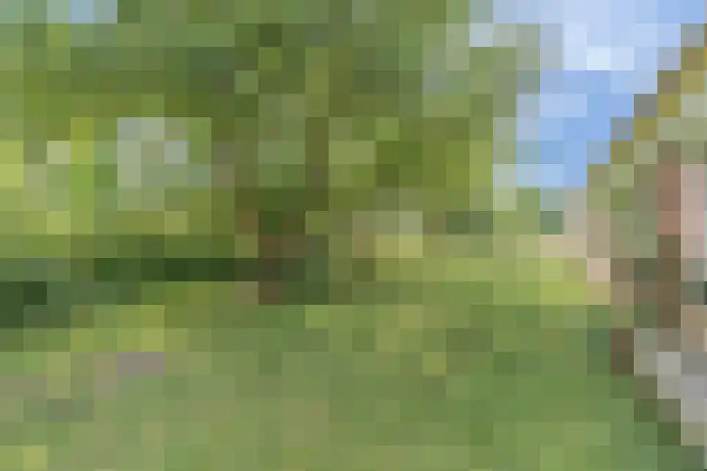 Hoofdweg 112 Oudemolen thumbnail 26