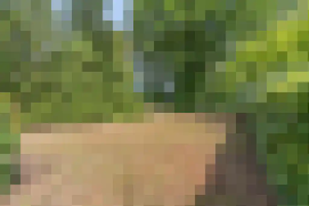 Hoofdweg 112 Oudemolen thumbnail 29