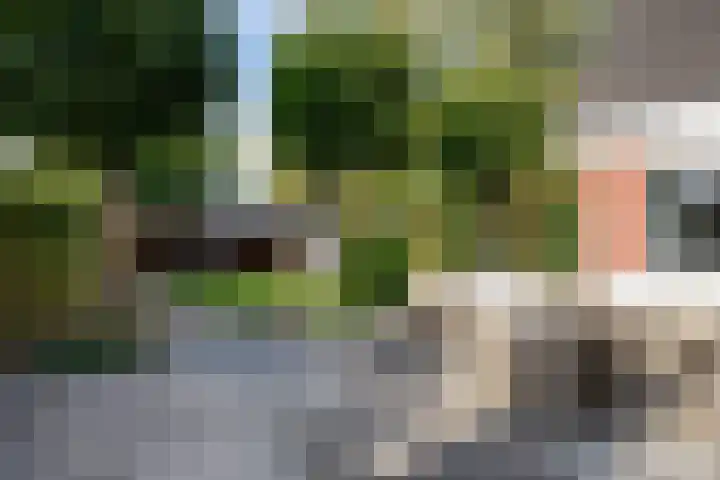 Hoofdweg 1129 Nieuw-Vennep thumbnail 53