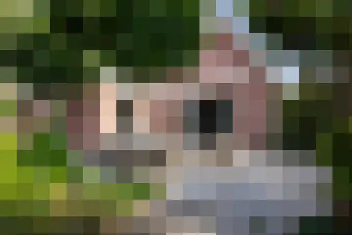 Hoofdweg 1129 Nieuw-Vennep thumbnail 55