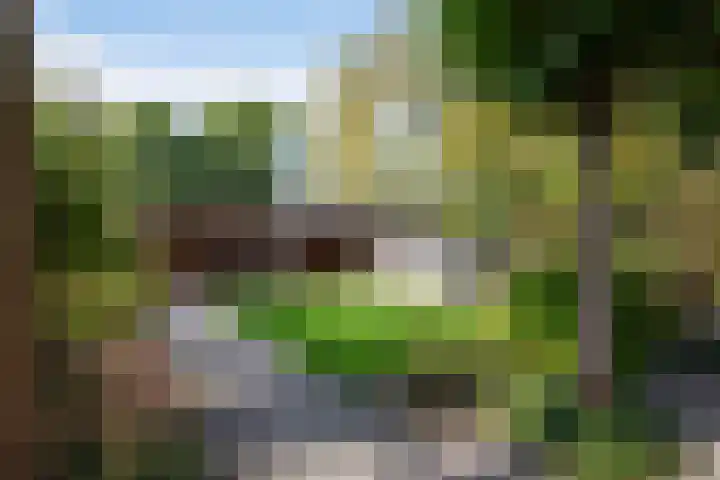 Hoofdweg 1129 Nieuw-Vennep thumbnail 57