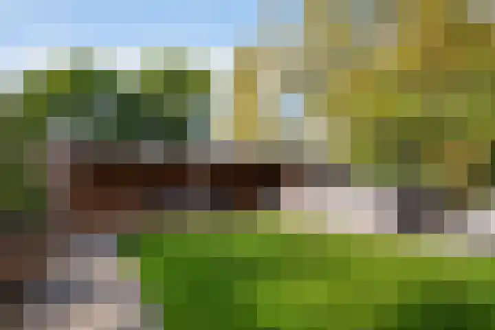 Hoofdweg 1129 Nieuw-Vennep thumbnail 59