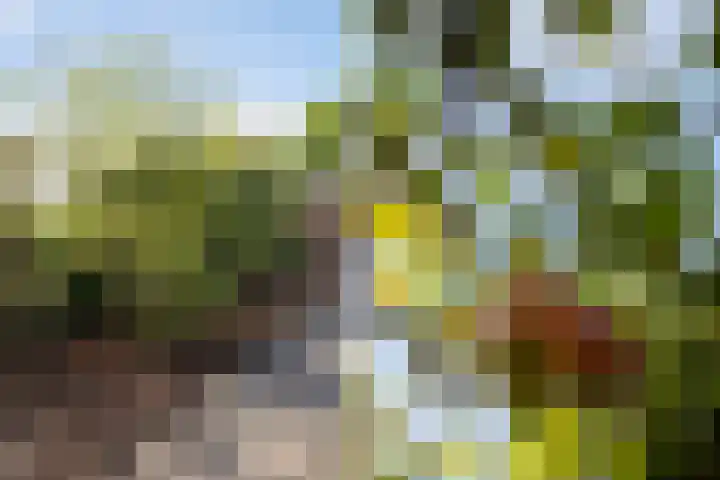 Hoofdweg 1129 Nieuw-Vennep thumbnail 63