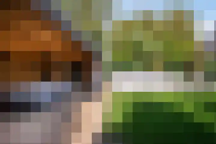 Hoofdweg 1129 Nieuw-Vennep thumbnail 64
