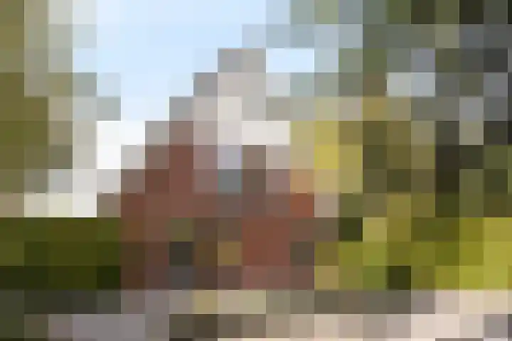 Hoofdweg 1129 Nieuw-Vennep thumbnail 8