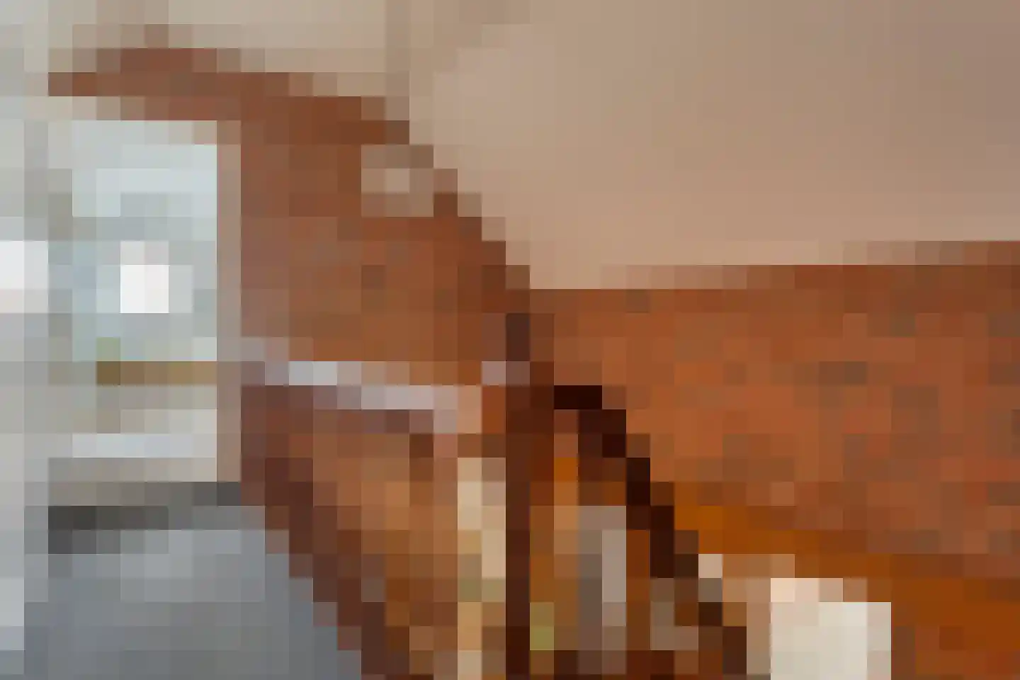 Hoofdweg 113 De Krim thumbnail 49