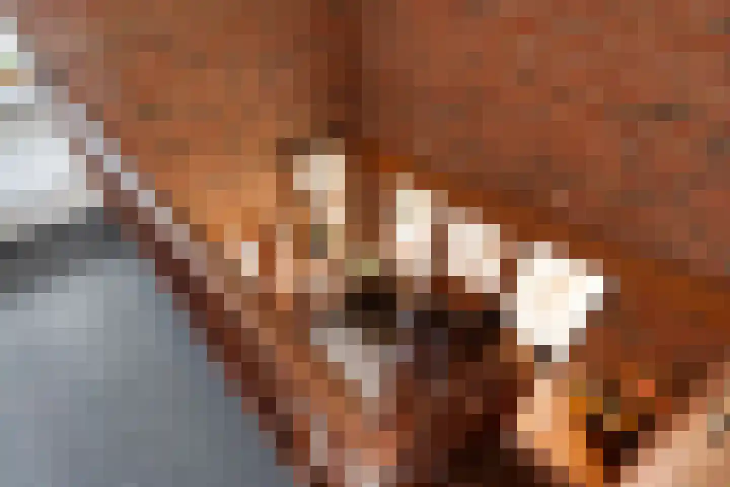 Hoofdweg 113 De Krim thumbnail 50