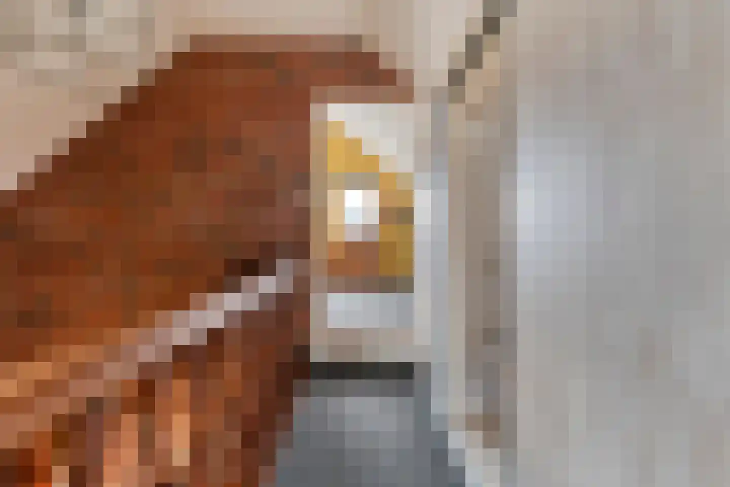 Hoofdweg 113 De Krim thumbnail 51