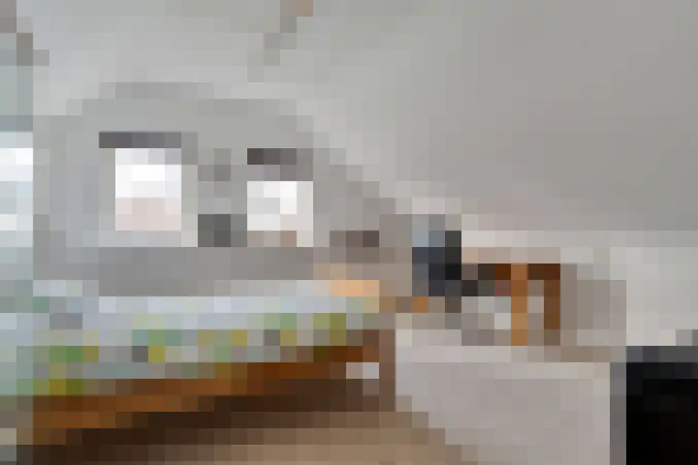 Hoofdweg 113 De Krim thumbnail 52