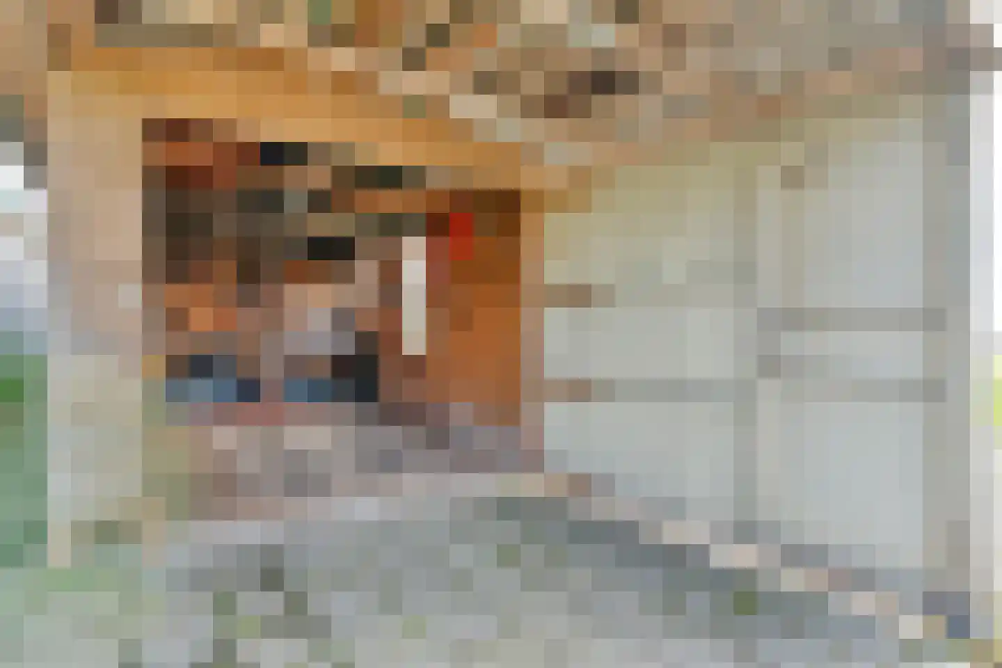 Hoofdweg 113 De Krim thumbnail 58