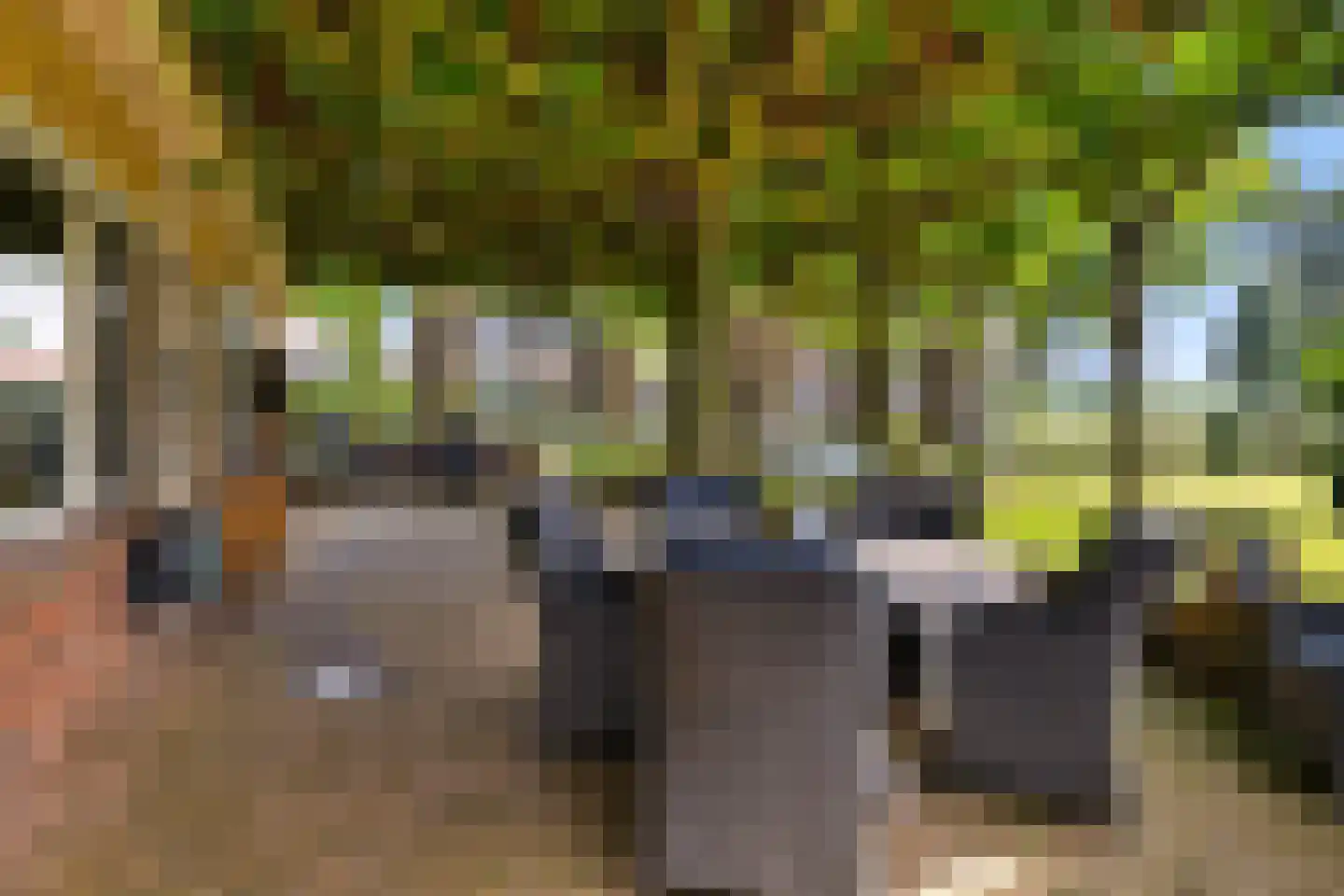 Hoofdweg 113 De Krim thumbnail 62