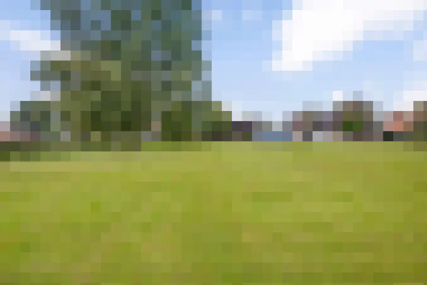Hoofdweg 113 De Krim thumbnail 64