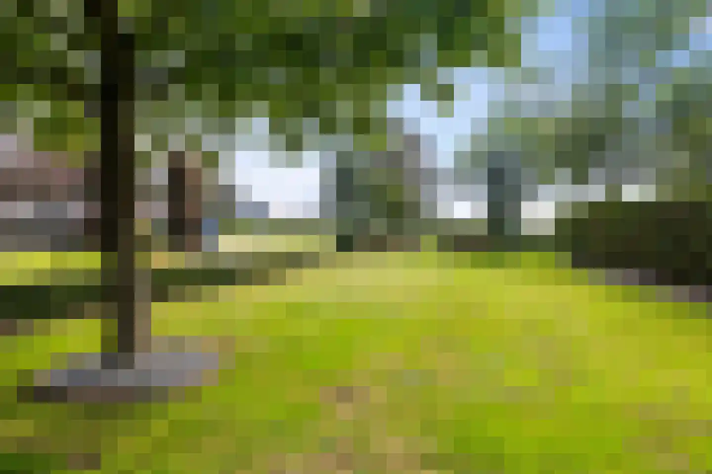 Hoofdweg 113 De Krim thumbnail 65
