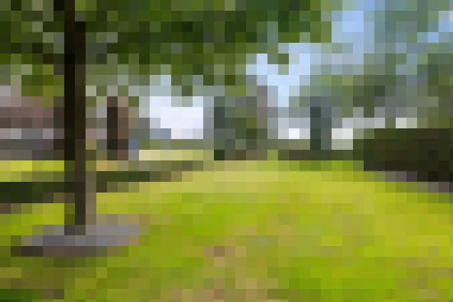 Hoofdweg 113 De Krim thumbnail 65