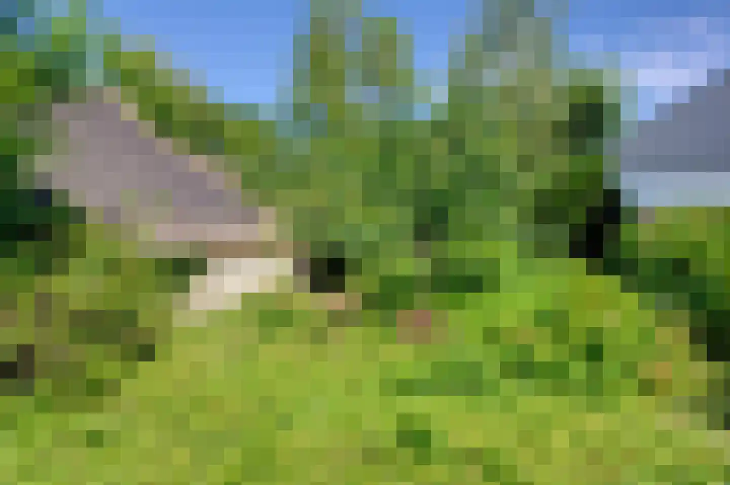 Hoofdweg 113 Midwolda thumbnail 5