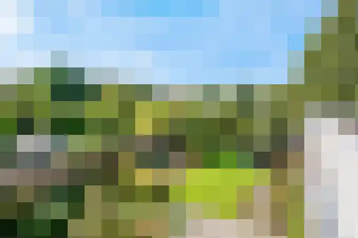 Hoofdweg 1137 Nieuw-Vennep thumbnail 38