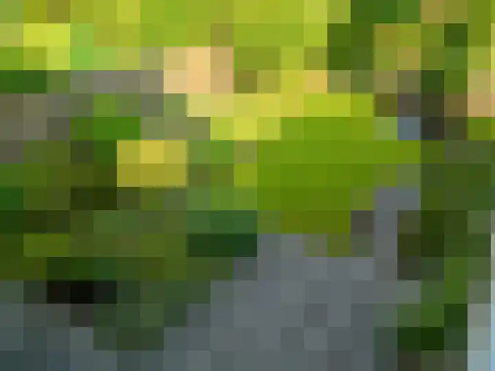 Hoofdweg 1137 Nieuw-Vennep thumbnail 39