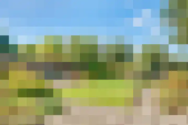 Hoofdweg 1137 Nieuw-Vennep thumbnail 44
