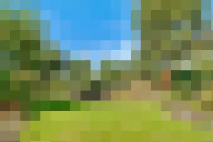 Hoofdweg 1137 Nieuw-Vennep thumbnail 45