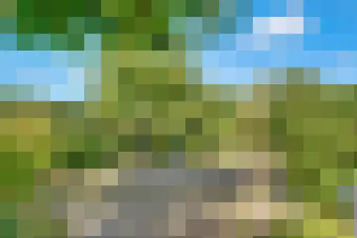 Hoofdweg 1137 Nieuw-Vennep thumbnail 46