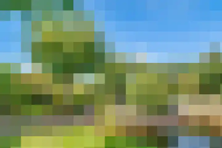 Hoofdweg 1137 Nieuw-Vennep thumbnail 48