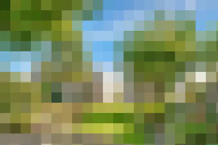 Hoofdweg 1137 Nieuw-Vennep thumbnail 49