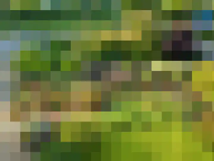 Hoofdweg 1137 Nieuw-Vennep thumbnail 6