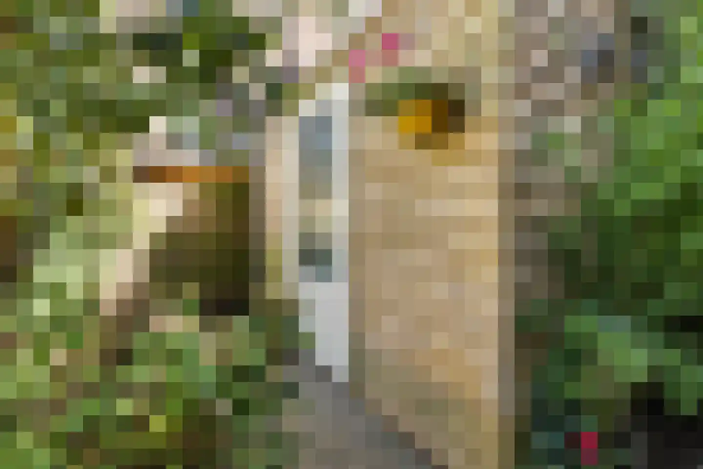 Hoofdweg 114 H Amsterdam thumbnail 14