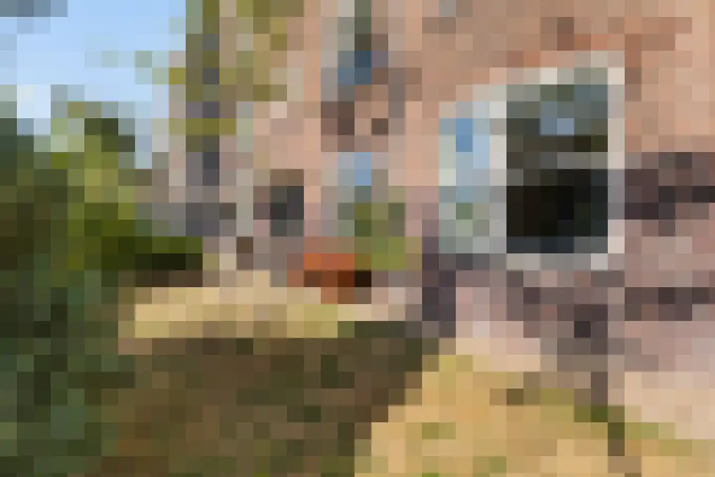 Hoofdweg 114 H Amsterdam thumbnail 30