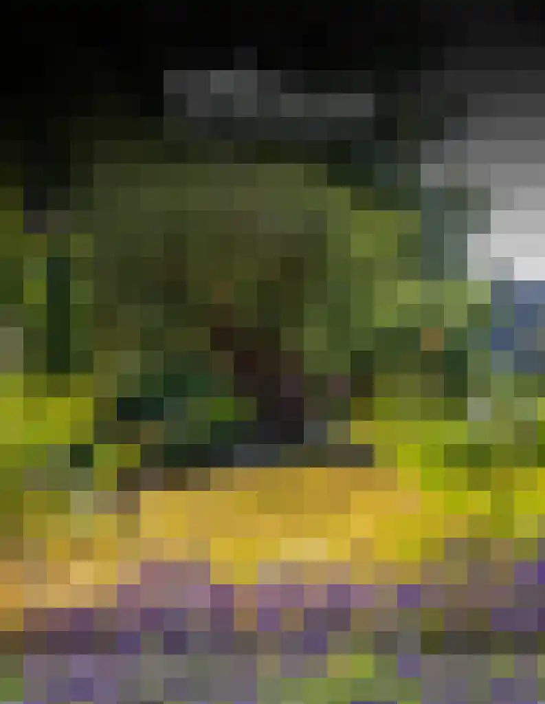 Hoofdweg 1143 Nieuw-Vennep thumbnail 37