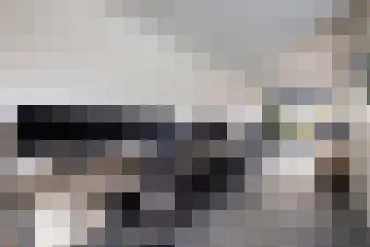 Hoofdweg 115 Ederveen thumbnail 17