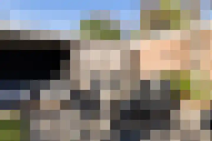 Hoofdweg 115 Ederveen thumbnail 43