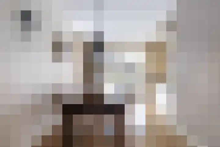 Hoofdweg 115 Ederveen thumbnail 8