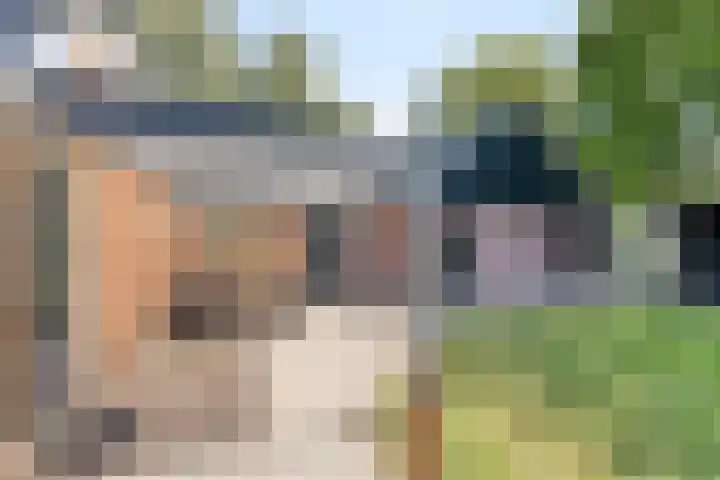 Hoofdweg 115 Schildwolde thumbnail 32
