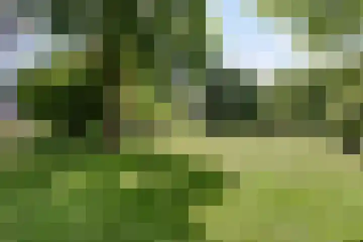Hoofdweg 115 Schildwolde thumbnail 37